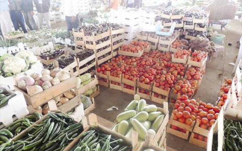 3491 طن خضار وفواكه ترد للسوق المركزي اليوم