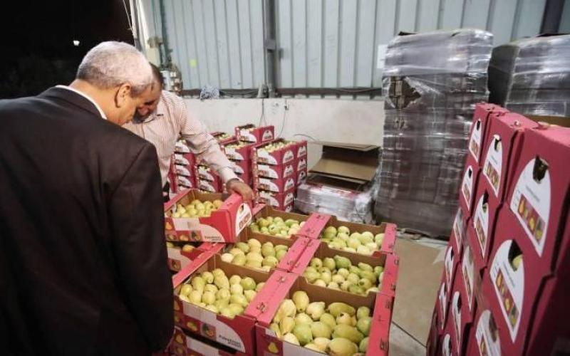 تراجع الصادرات يخفض أسعار الخضار والفواكه