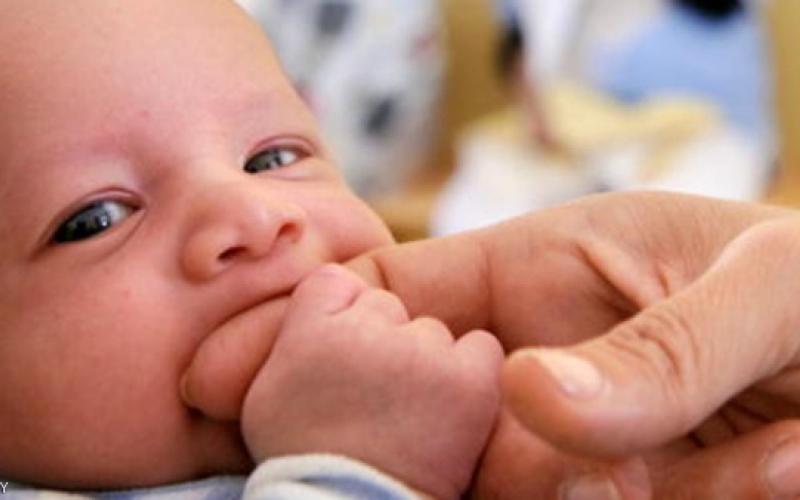 6% نسبة انخفاض الإنجاب خلال 20 عاما