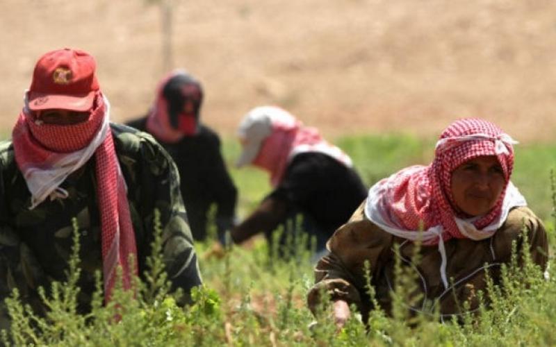 العوران: 10 آلاف مزارع مطلوبون للتنفيذ القضائي