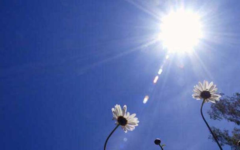 أجواء صيفية والحرارة حول معدلاتها