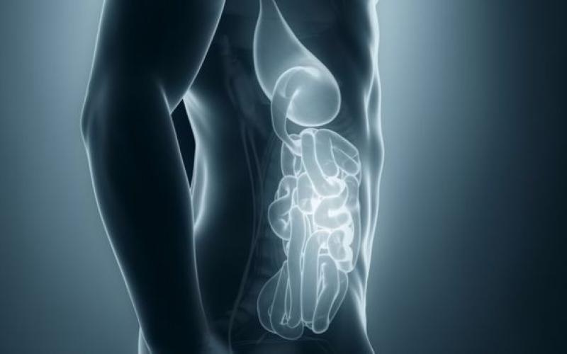 كاميرا طبية تصور داخل الجسم دون الحاجة لأشعة