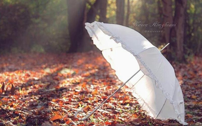 اجواء خريفية معتدلة الحرارة حتى الخميس