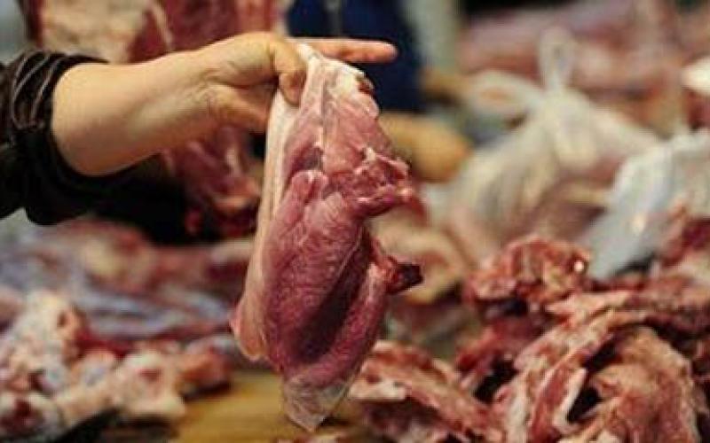 الأمانة تتلف 564 طن لحوم غير صالحة للإستهلاك