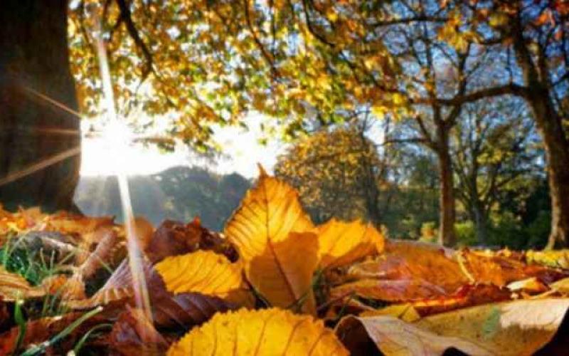 اجواء معتدلة اليوم وغدا وغائمة السبت