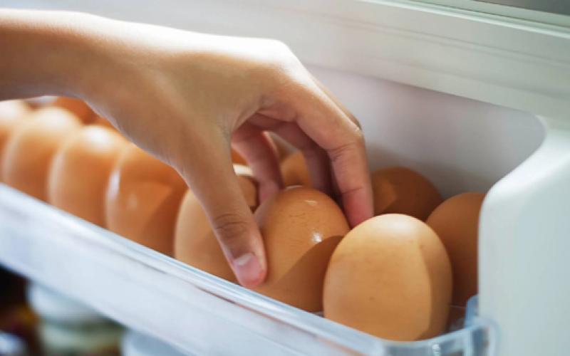 تحذير: لا لتخزين البيض بباب الثلاجة