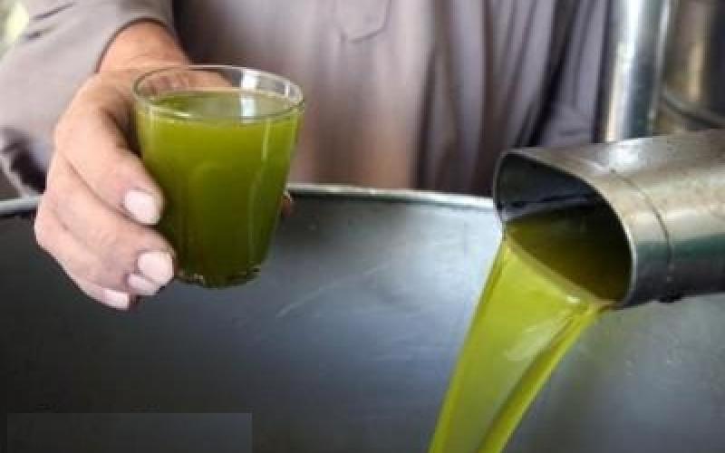 ضبط 81 تنكة زيت زيتون مغشوش