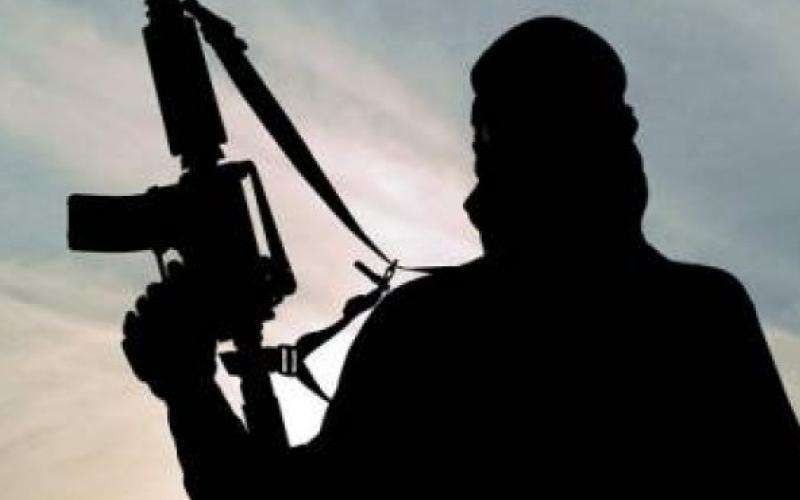 خبراء يقيمون دور الإعلام المضادة لمكافحة التطرف