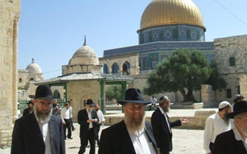 مستوطنون يجددون اقتحام الأقصى