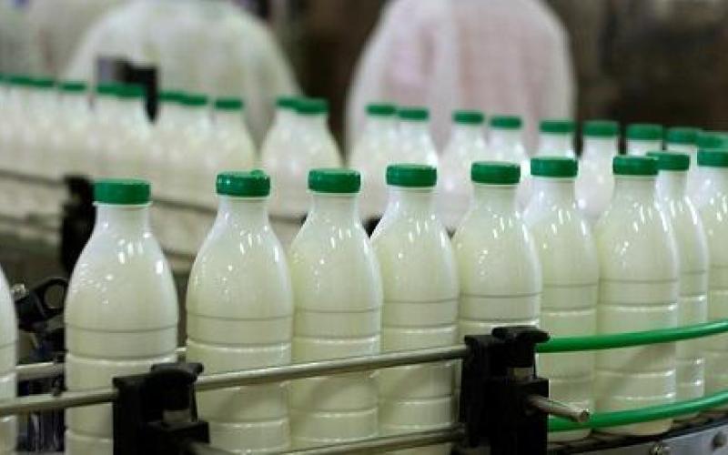 المهندسين الزراعيين تدعو لعدم المساس بالمنتجات الزراعية المصنعة