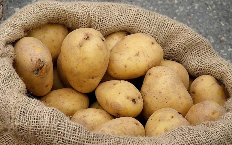 تحديد سقف سعري أعلى للبطاطا بواقع 750 فلسا