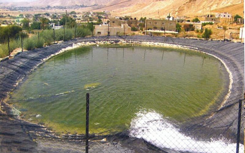 البرك الزراعية...مصائد للأرواح