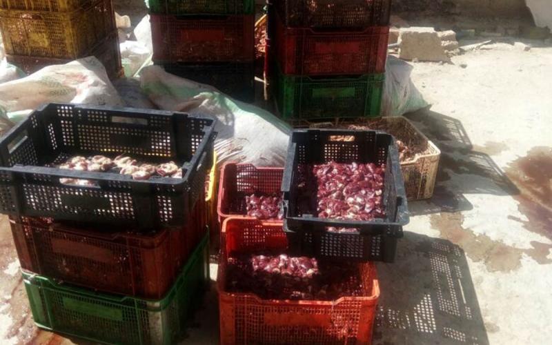 البيئة تضبط 4 مصانع تعمل بدون ترخيص