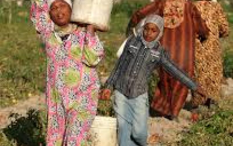 حقوق المزارعات في التأمين الصحي: مشروع كسب التأييد والمدافعة عن المزارعات في الاردن