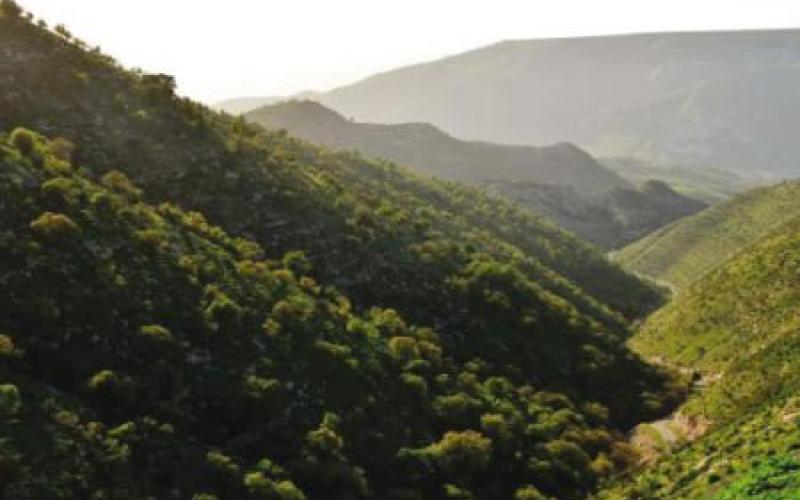 النهج التشاركي لإدارة أراضي محمية اليرموك الطبيعية