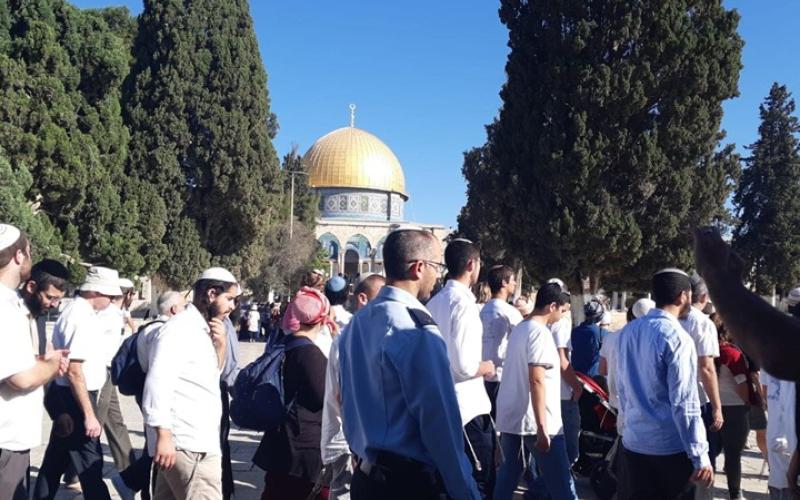 مئات المستوطنين يقتحمون الأقصى بحماية الاحتلال (شاهد)