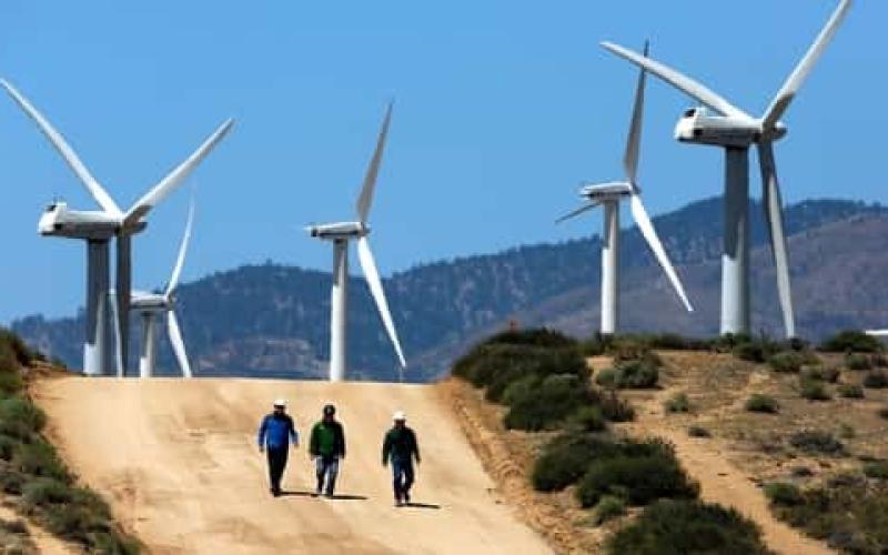 زواتي: مساهمة الطاقة المتجددة سترتفع من 8% حاليا الى 16% العام المقبل