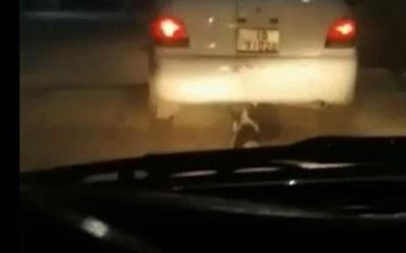 ضبط شخص قام بجر كلب بواسطة مركبته في الزرقاء