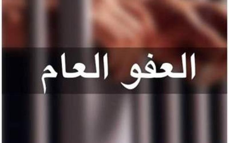 غنيمات: الحكومة لم تحسم قرارها بشأن العفو العام