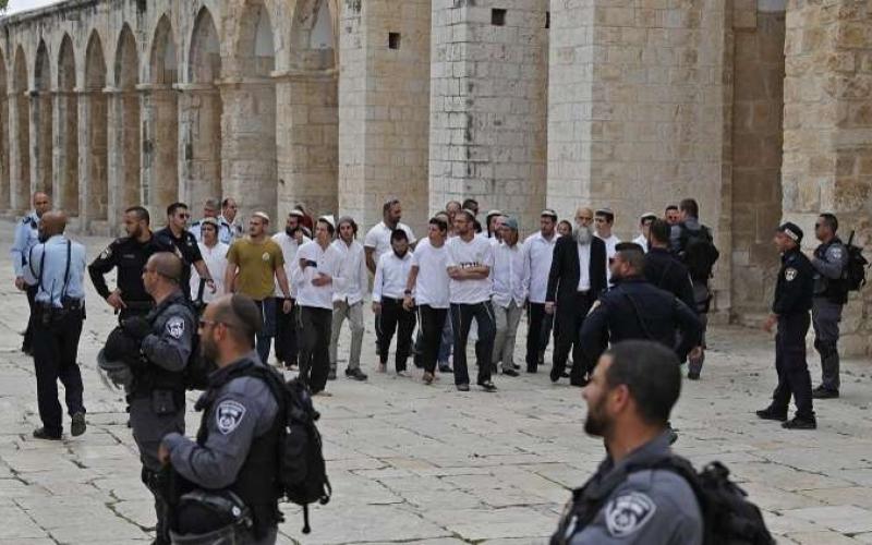 137 مستوطنًا يقتحمون الأقصى ودعوات لاقتحام واسع الخميس