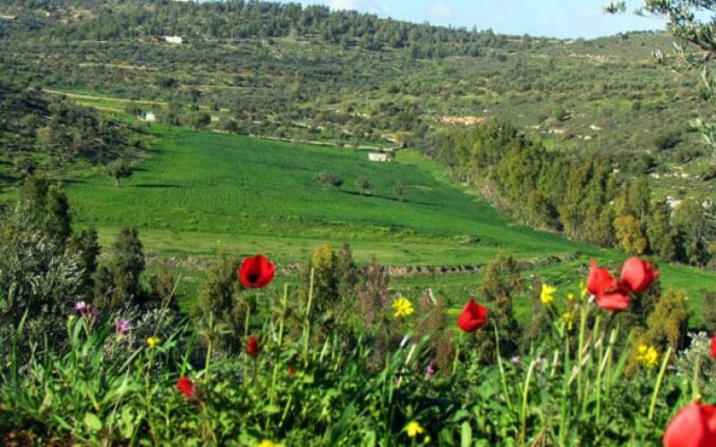 الاربعاء.. طقس ربيعي معتدل