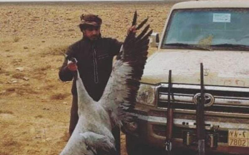 الجمعية الملكية لحماية الطبيعة تطالب بمحاسبة مرتكبي جريمة صيد الغزلان (صور)