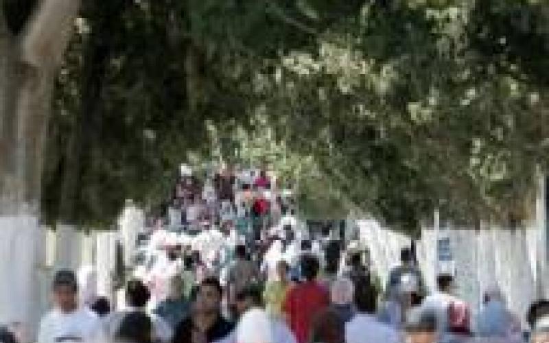 الأنشطة اللامنهجية الجامعية، ضعف تقصير أم غياب؟