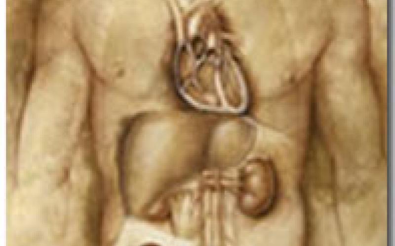 كلى برسم البيع!