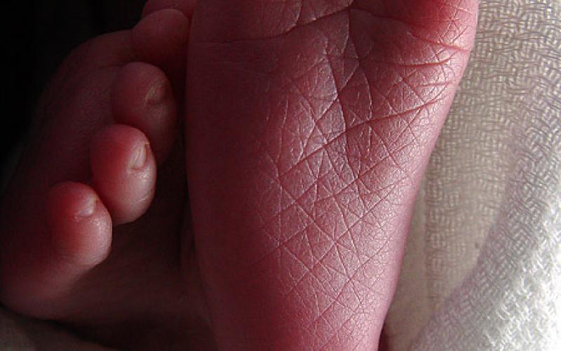 اختطاف مولود من مستشفى بديعة