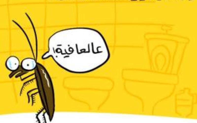 احذر صرصور في بيتك!