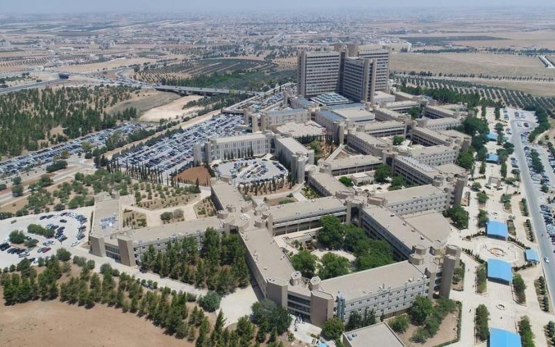 يوميا هناك 4 إلى 6 حالات خروج