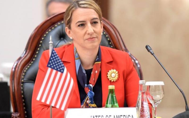 السفيرة المرشحة