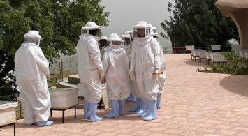 الصورة من مدير محمية اليرموك - محمد ملكاوي